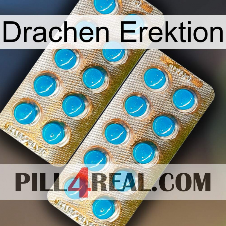 Dragon Erection new08